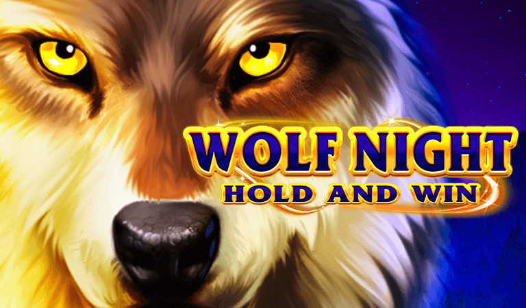 wolf-night-img