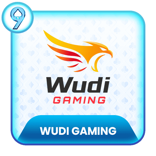wudi-gaming-img
